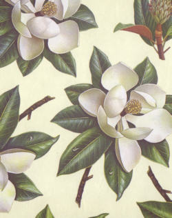 Ga naar voorraad Rossi magnolia